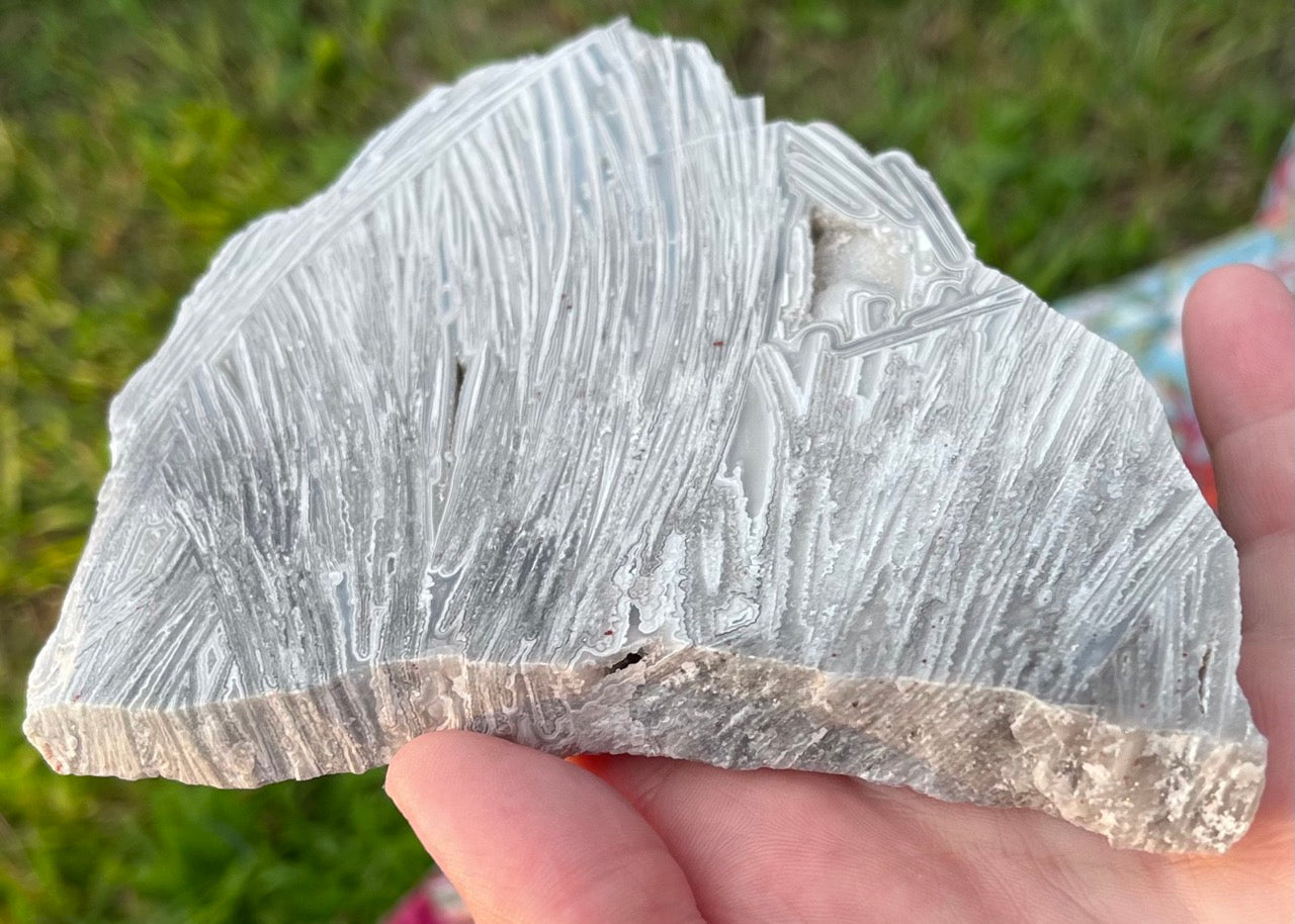 Mexico Lattice Lace Agate Lapidary Rock Slab - Vestido de Blanco - Lucky Calico Gem & Jewelry Co.