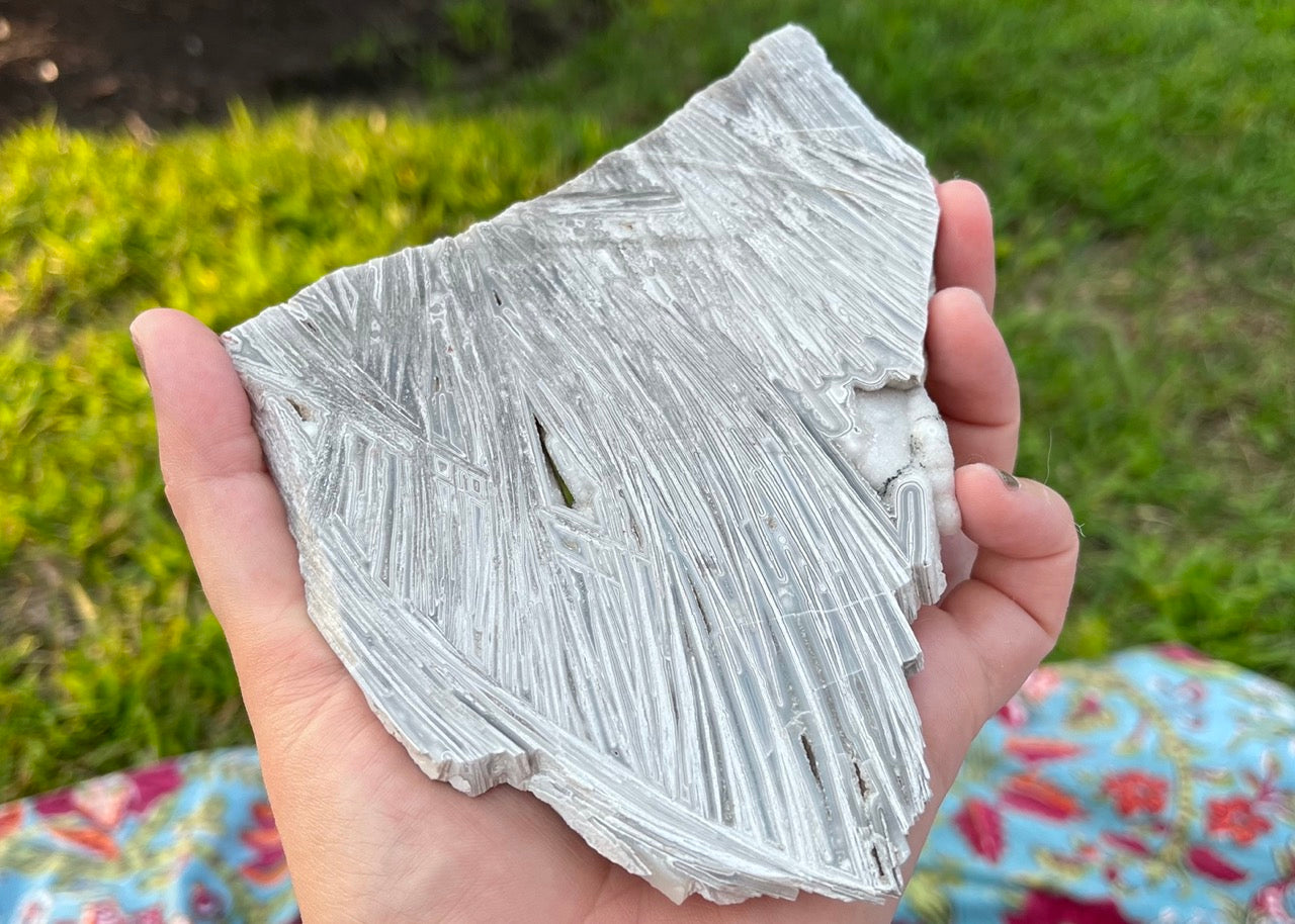 Mexico Lattice Lace Agate Lapidary Rock Slab - Vestido de Blanco - Lucky Calico Gem & Jewelry Co.