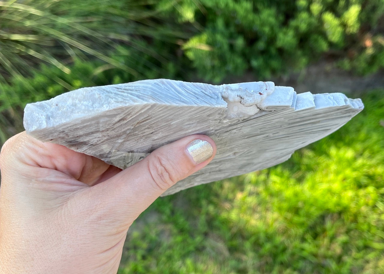 Mexico Lattice Lace Agate Lapidary Rock Slab - Vestido de Blanco - Lucky Calico Gem & Jewelry Co.