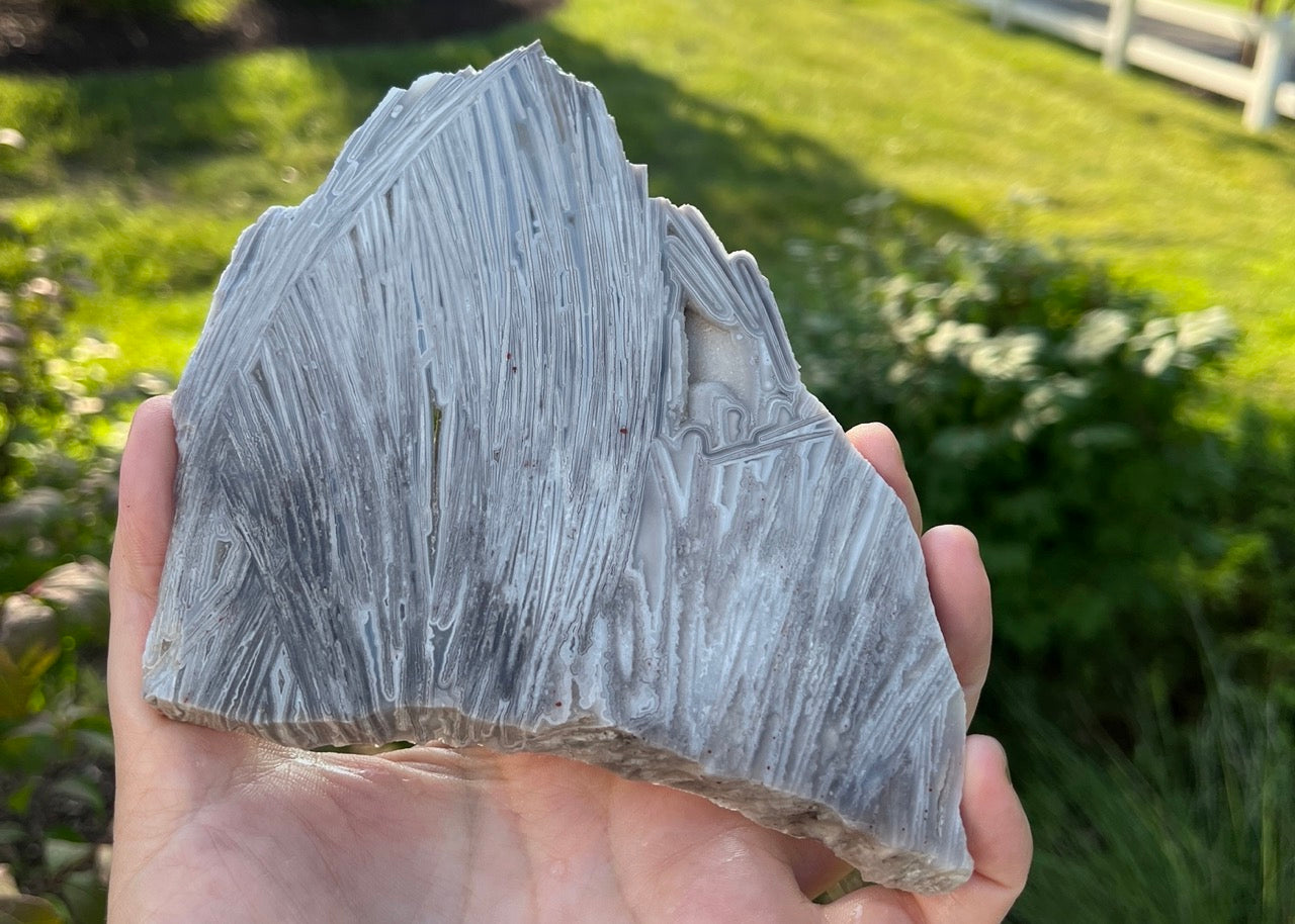 Mexico Lattice Lace Agate Lapidary Rock Slab - Vestido de Blanco - Lucky Calico Gem & Jewelry Co.