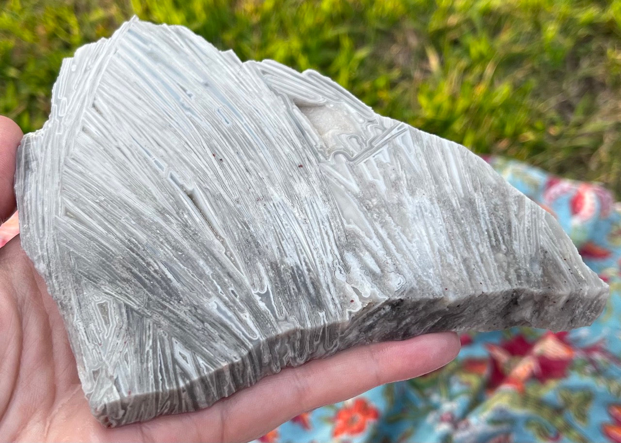 Mexico Lattice Lace Agate Lapidary Rock Slab - Vestido de Blanco - Lucky Calico Gem & Jewelry Co.
