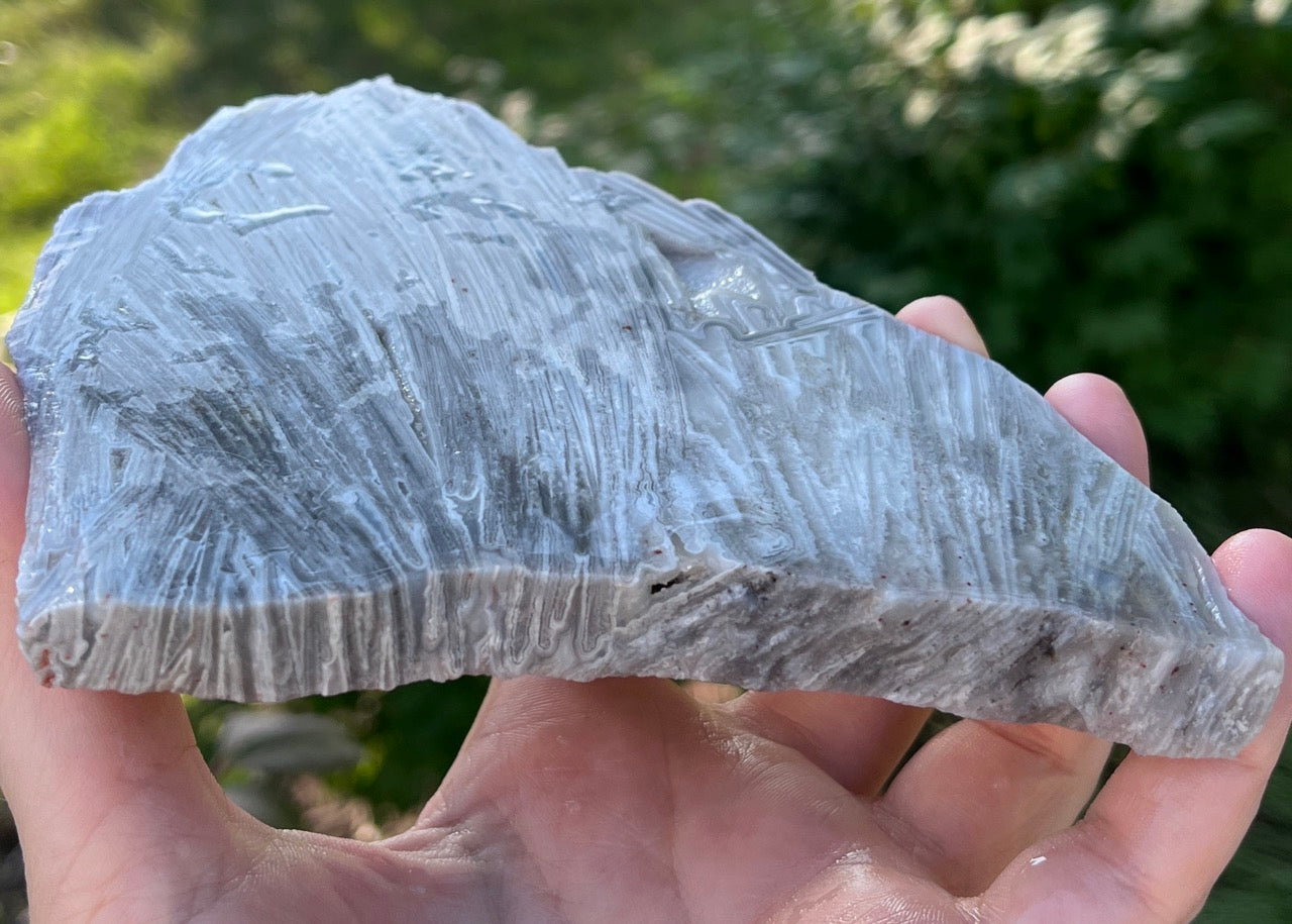 Mexico Lattice Lace Agate Lapidary Rock Slab - Vestido de Blanco - Lucky Calico Gem & Jewelry Co.