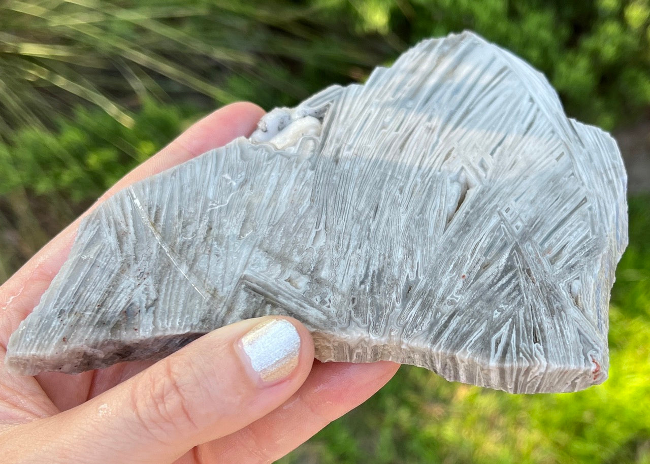 Mexico Lattice Lace Agate Lapidary Rock Slab - Vestido de Blanco - Lucky Calico Gem & Jewelry Co.