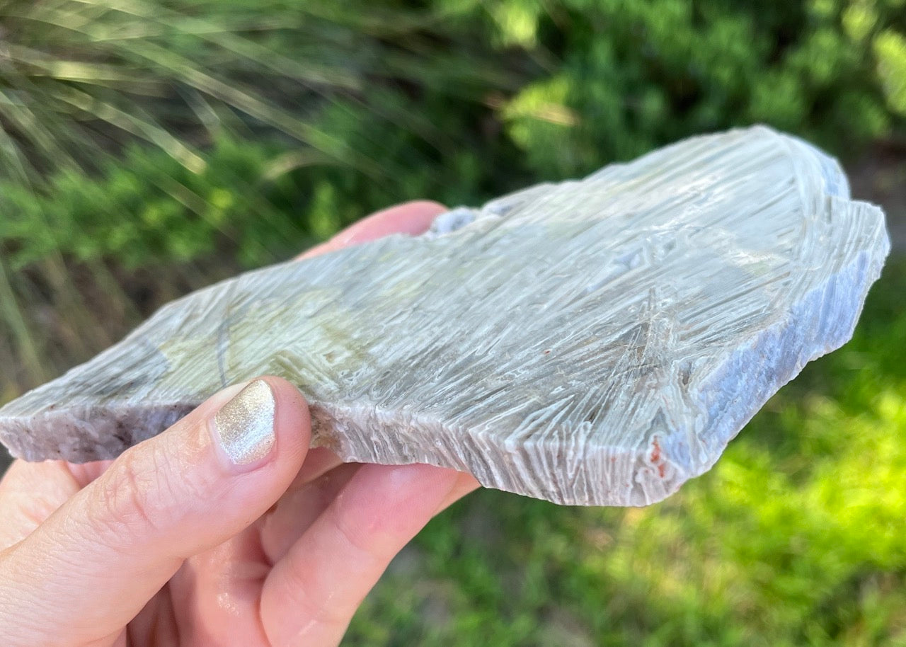 Mexico Lattice Lace Agate Lapidary Rock Slab - Vestido de Blanco - Lucky Calico Gem & Jewelry Co.
