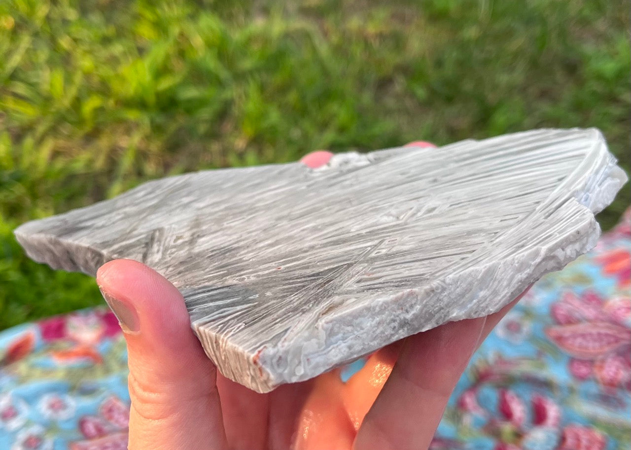 Mexico Lattice Lace Agate Lapidary Rock Slab - Vestido de Blanco - Lucky Calico Gem & Jewelry Co.