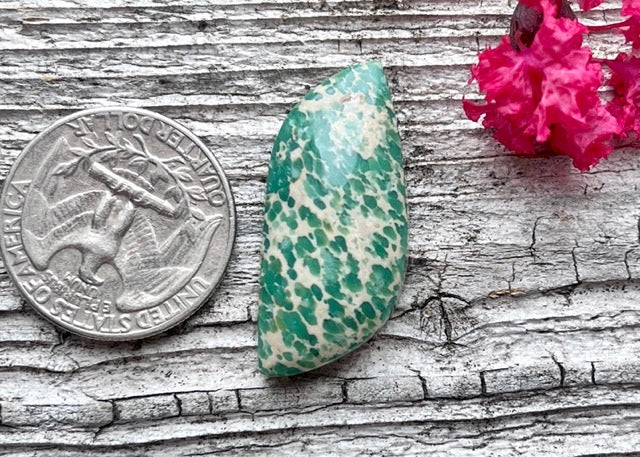 Lucin Spiderweb Variscite Freeform Cabochon - Lucky Calico Gem & Jewelry Co.
