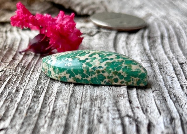 Lucin Spiderweb Variscite Freeform Cabochon - Lucky Calico Gem & Jewelry Co.