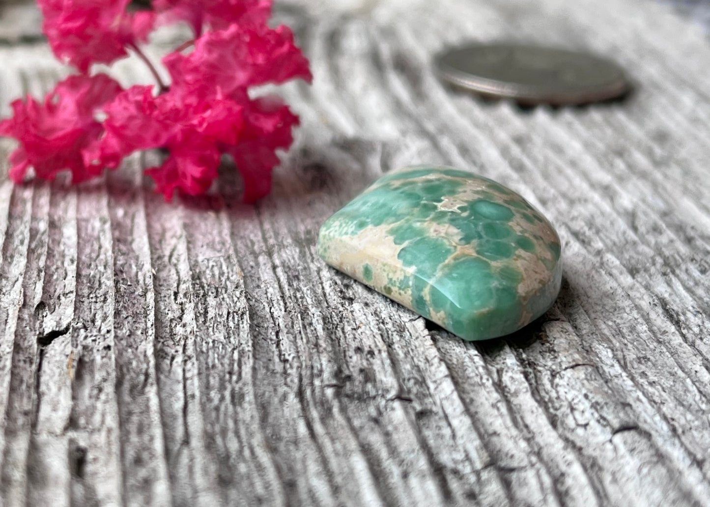 Lucin Spiderweb Variscite Trillion Cabochon - Lucky Calico Gem & Jewelry Co.