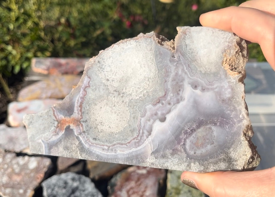 Rare Mexican Luna Agate Lapidary Rock Slab - Lucky Calico Gem & Jewelry Co.