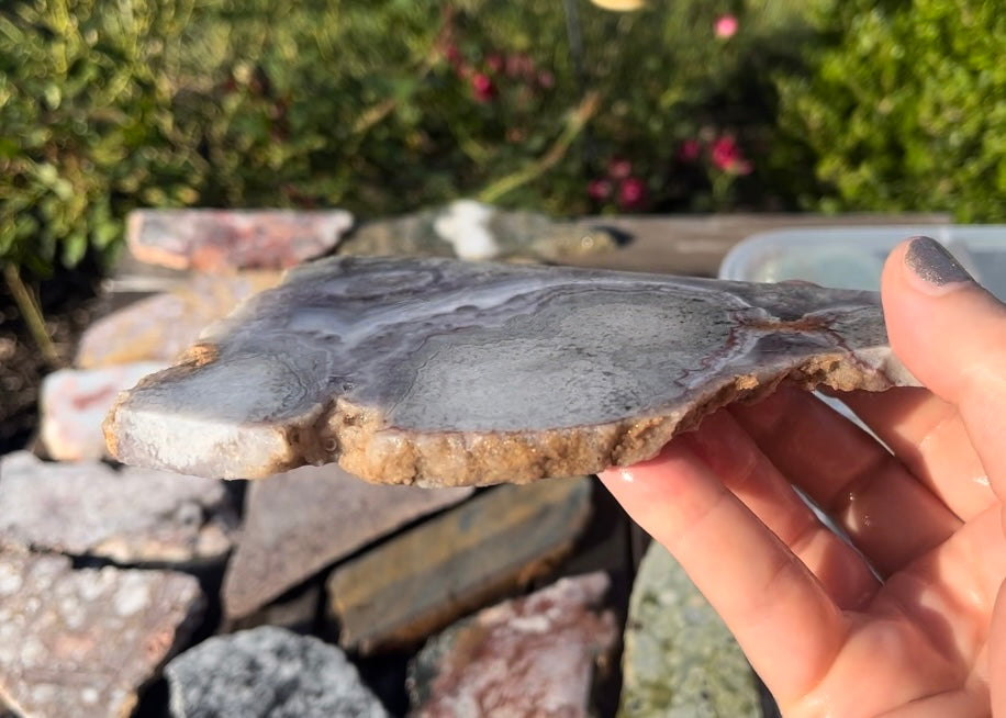Rare Mexican Luna Agate Lapidary Rock Slab - Lucky Calico Gem & Jewelry Co.