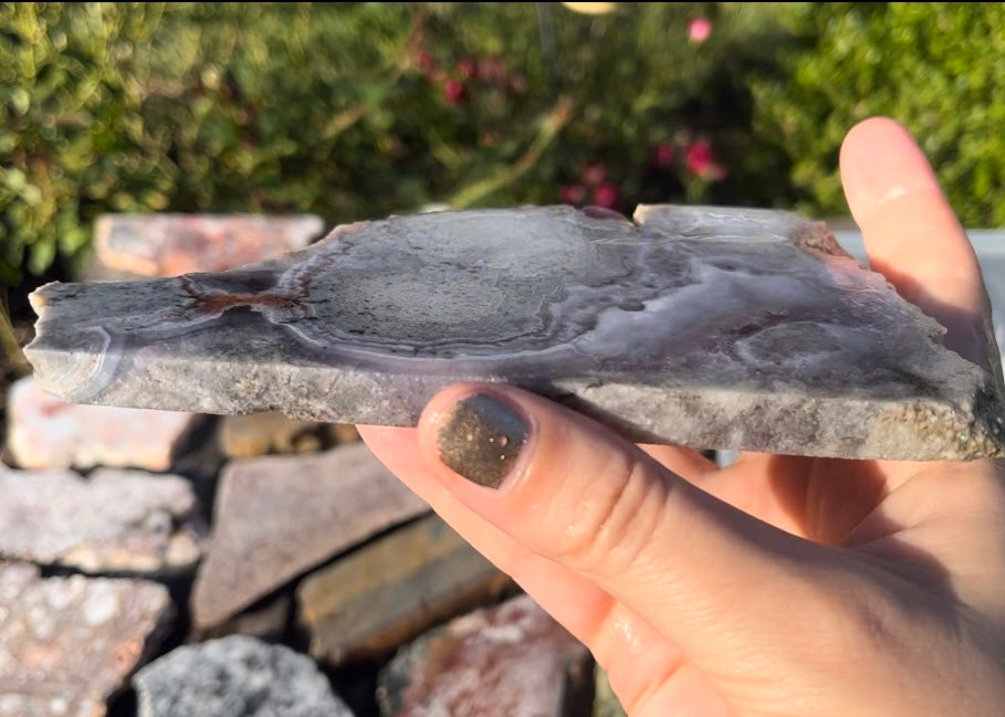 Rare Mexican Luna Agate Lapidary Rock Slab - Lucky Calico Gem & Jewelry Co.