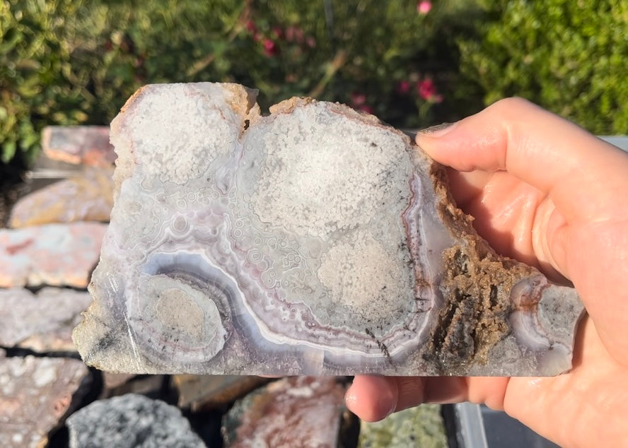 Rare Mexican Luna Agate Lapidary Rock Slab - Lucky Calico Gem & Jewelry Co.