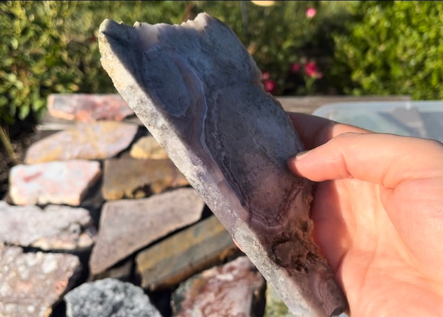 Rare Mexican Luna Agate Lapidary Rock Slab - Lucky Calico Gem & Jewelry Co.
