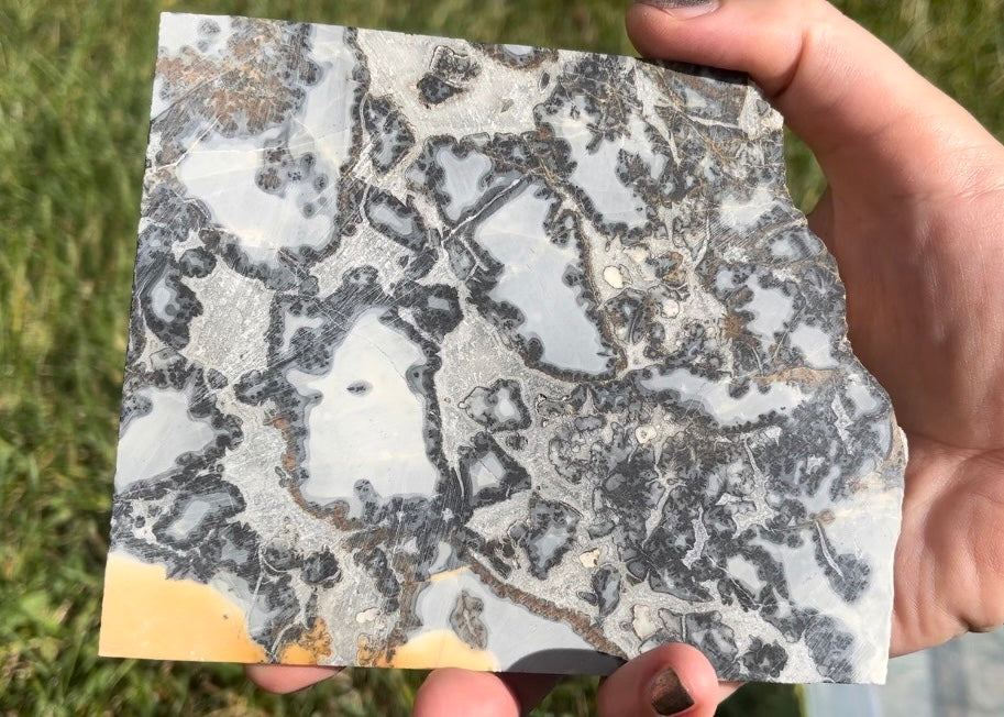 Maligano Jasper Slab