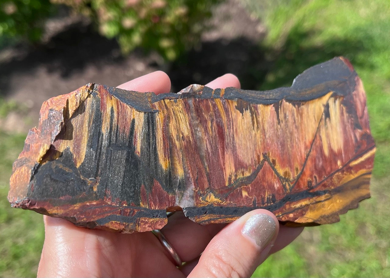 Marra Mamba Tiger Eye Lapidary Rock Slab - Lucky Calico Gem & Jewelry Co.