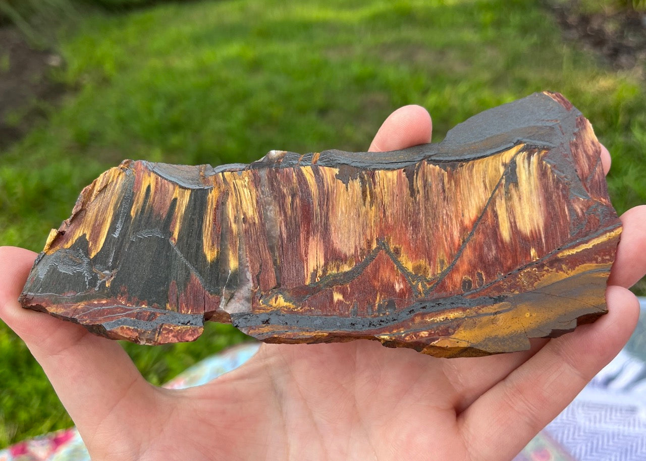 Marra Mamba Tiger Eye Lapidary Rock Slab - Lucky Calico Gem & Jewelry Co.