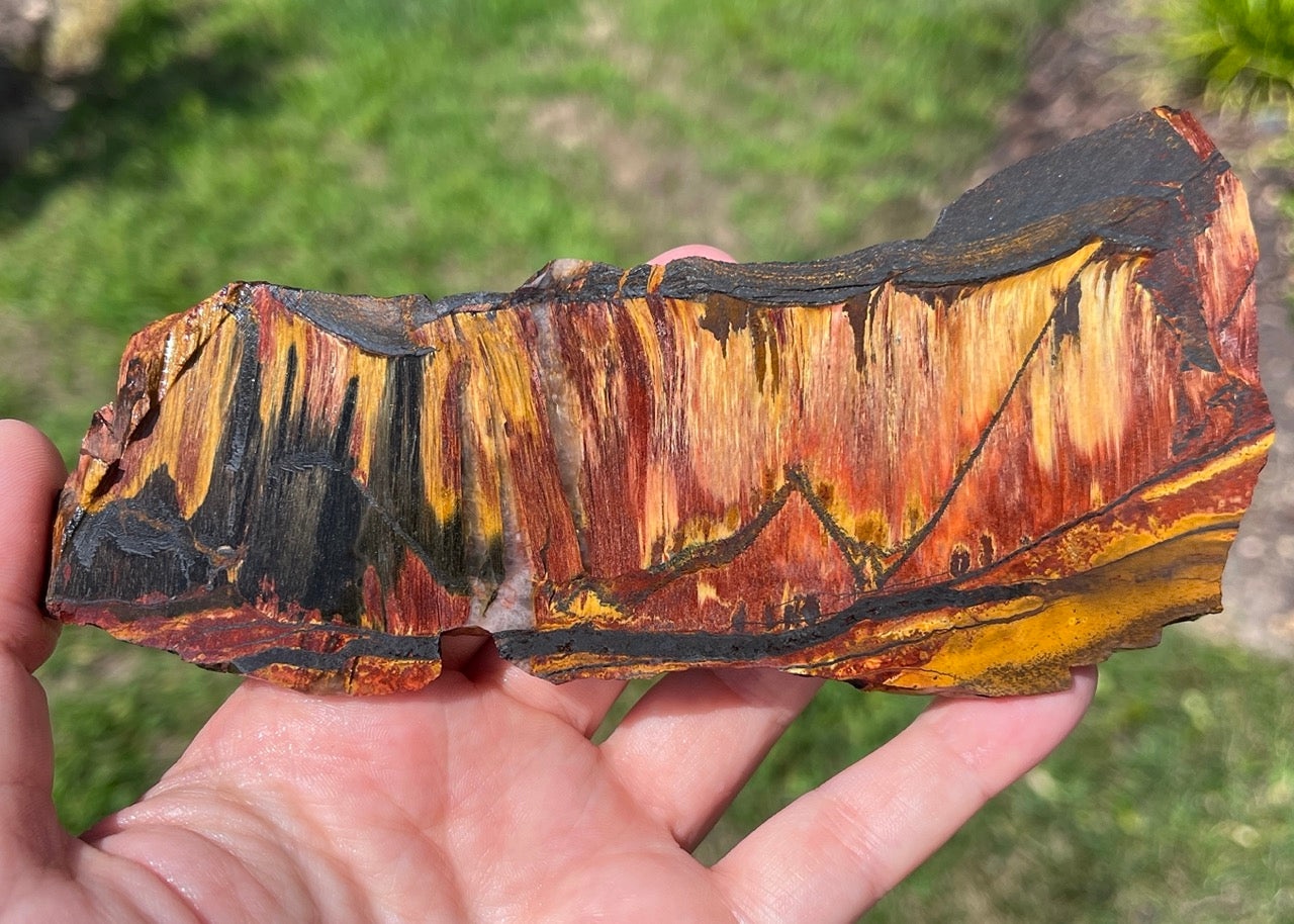 Marra Mamba Tiger Eye Lapidary Rock Slab - Lucky Calico Gem & Jewelry Co.