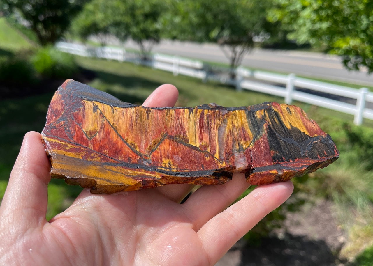 Marra Mamba Tiger Eye Lapidary Rock Slab - Lucky Calico Gem & Jewelry Co.