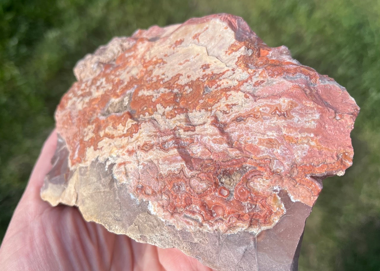 Montana Dryhead Agate Lapidary Rough Rock Crystal Specimen - Lucky Calico Gem & Jewelry Co.