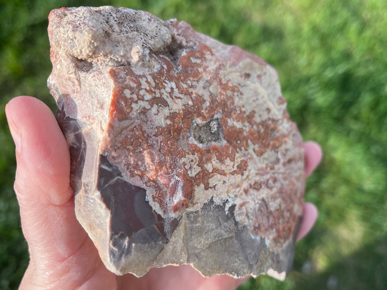 Montana Dryhead Agate Lapidary Rough Rock Crystal Specimen - Lucky Calico Gem & Jewelry Co.
