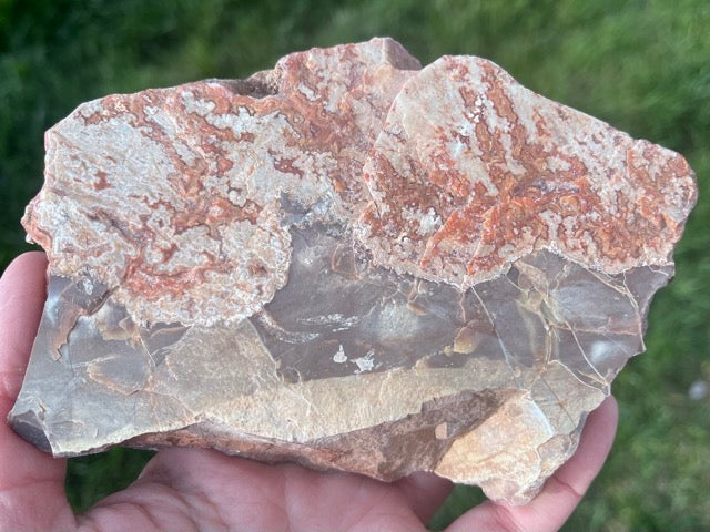 Montana Dryhead Agate Lapidary Rough Rock Crystal Specimen - Lucky Calico Gem & Jewelry Co.