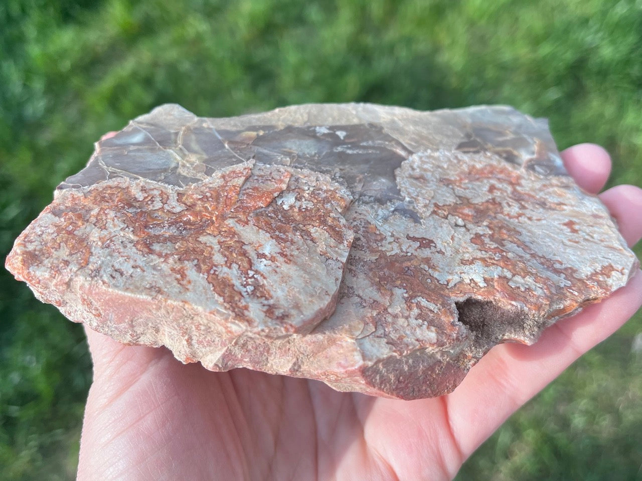 Montana Dryhead Agate Lapidary Rough Rock Crystal Specimen - Lucky Calico Gem & Jewelry Co.