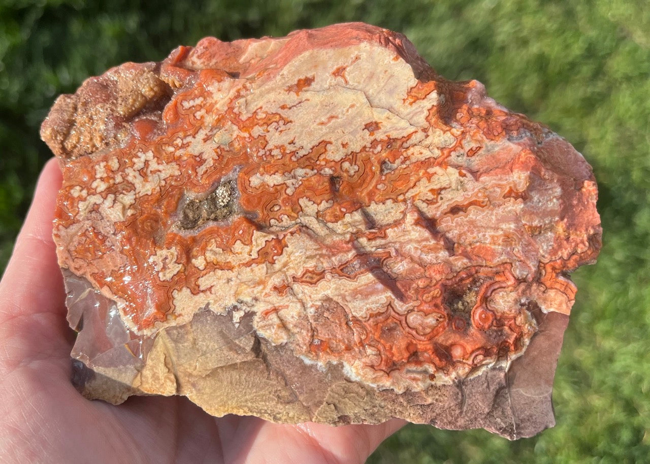 Montana Dryhead Agate Lapidary Rough Rock Crystal Specimen - Lucky Calico Gem & Jewelry Co.