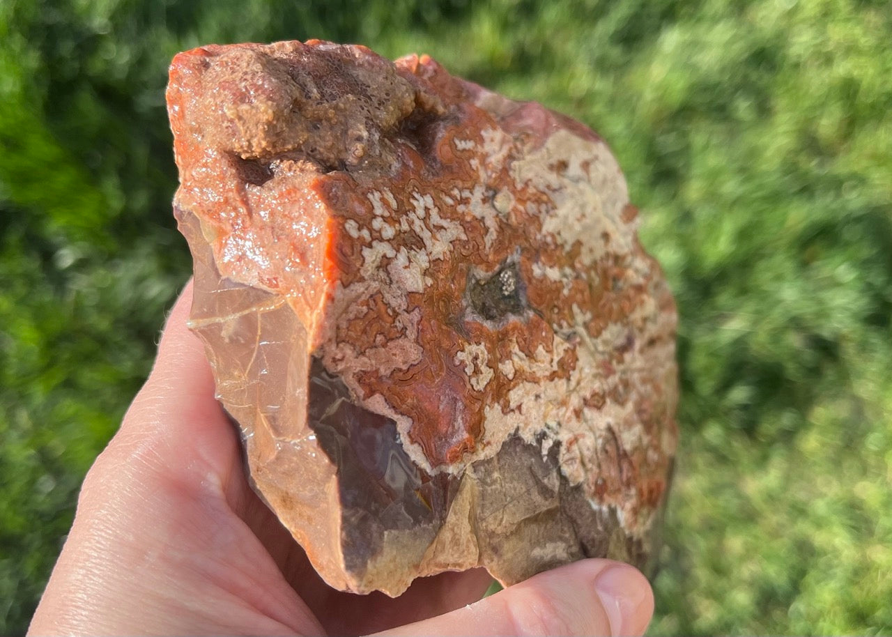 Montana Dryhead Agate Lapidary Rough Rock Crystal Specimen - Lucky Calico Gem & Jewelry Co.