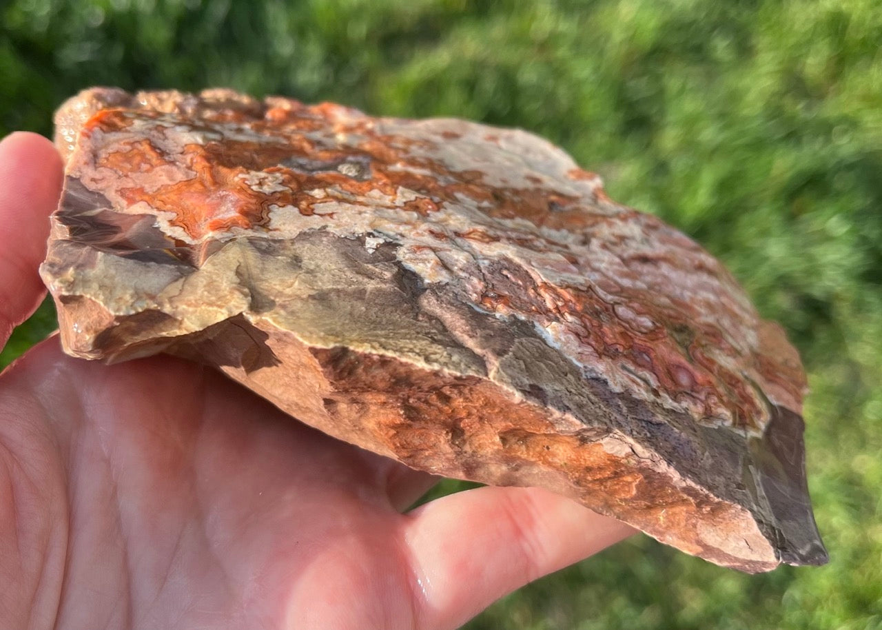 Montana Dryhead Agate Lapidary Rough Rock Crystal Specimen - Lucky Calico Gem & Jewelry Co.