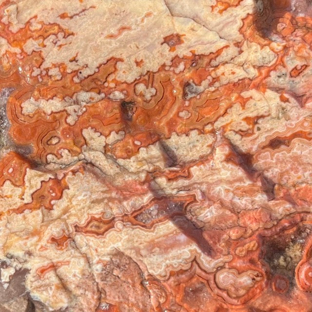 Montana Dryhead Agate Lapidary Rough Rock Crystal Specimen - Lucky Calico Gem & Jewelry Co.