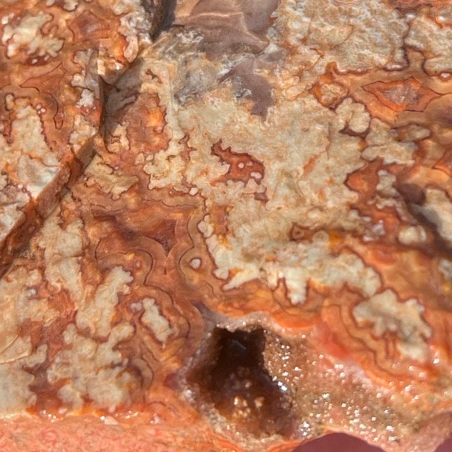 Montana Dryhead Agate Lapidary Rough Rock Crystal Specimen - Lucky Calico Gem & Jewelry Co.