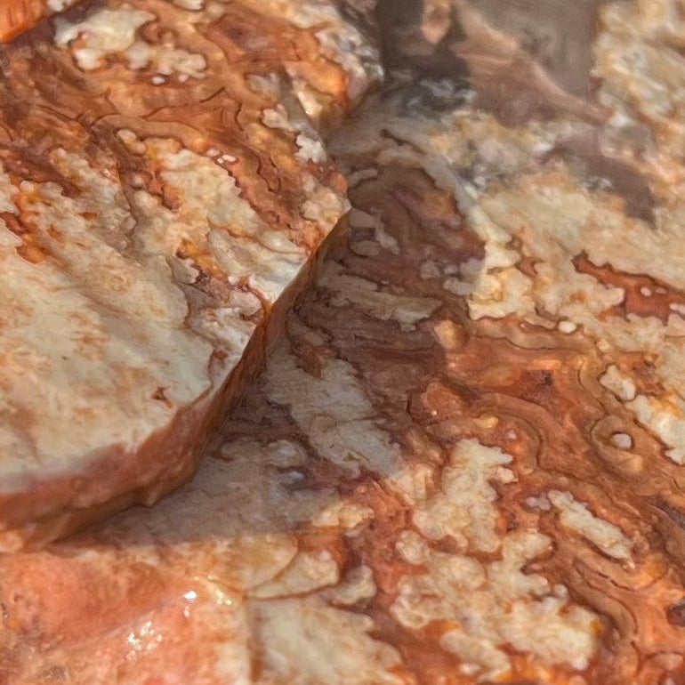 Montana Dryhead Agate Lapidary Rough Rock Crystal Specimen - Lucky Calico Gem & Jewelry Co.