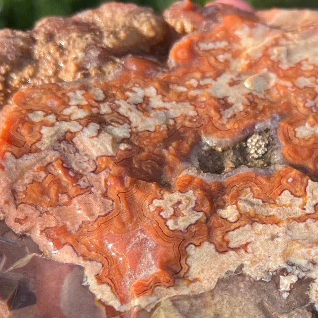 Montana Dryhead Agate Lapidary Rough Rock Crystal Specimen - Lucky Calico Gem & Jewelry Co.