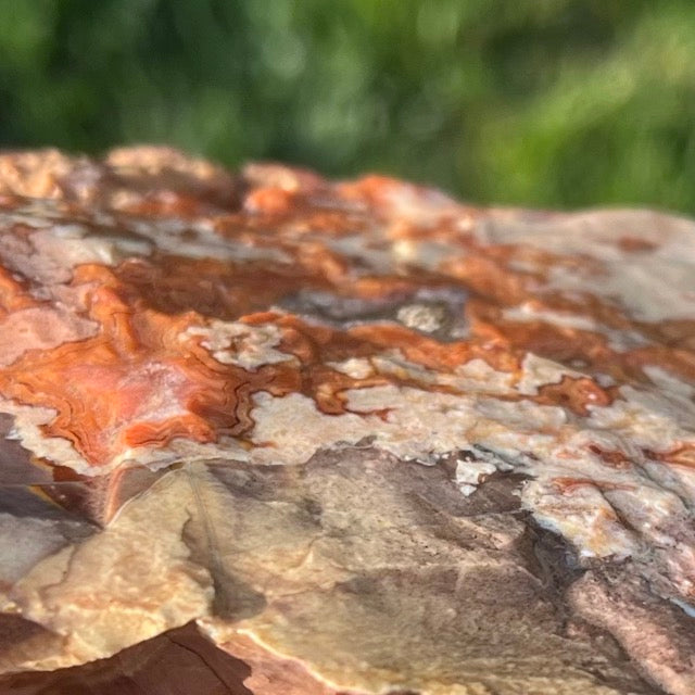 Montana Dryhead Agate Lapidary Rough Rock Crystal Specimen - Lucky Calico Gem & Jewelry Co.