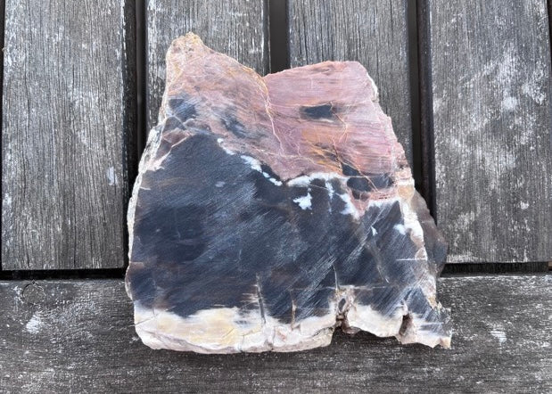 Petrified Opalized Wood Lapidary Rock Slab - Lucky Calico Gem & Jewelry Co.