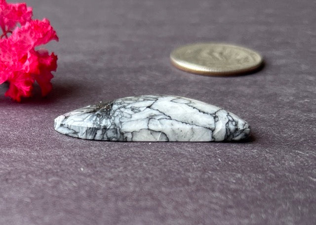 Freeform Austrian Pinolith Cabochon - Black and White Gemstone - Lucky Calico Gem & Jewelry Co.
