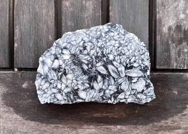 Austrian Pinolith Lapidary Rock Slab - Black and White Stone - Lucky Calico Gem & Jewelry Co.