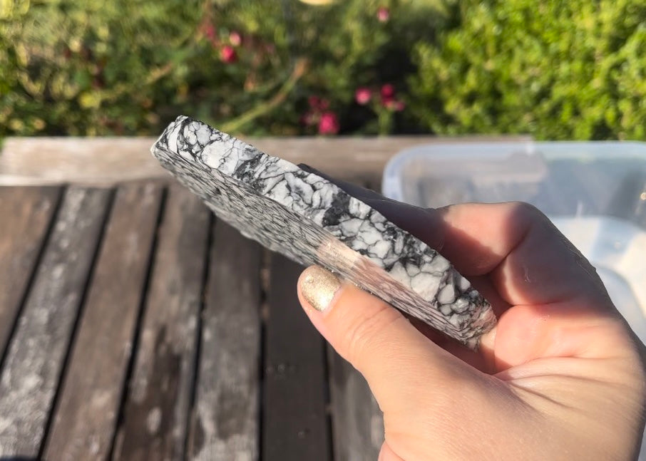 Austrian Pinolith Lapidary Rock Slab - Black and White Stone - Lucky Calico Gem & Jewelry Co.