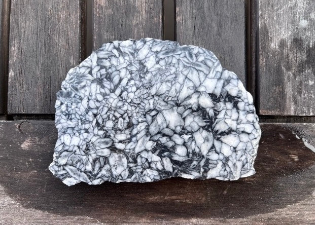 Austrian Pinolith Lapidary Rock Slab - Black and White Stone - Lucky Calico Gem & Jewelry Co.
