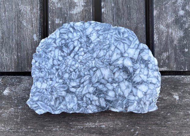Austrian Pinolith Lapidary Rock Slab - Black and White Stone - Lucky Calico Gem & Jewelry Co.