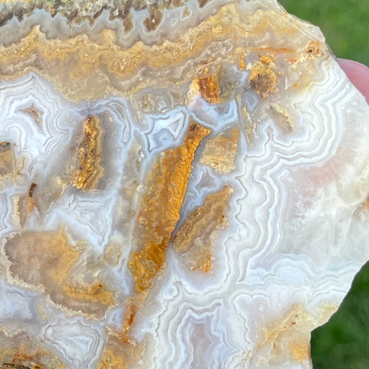 Idaho Prudent Man Agate Lapidary Rock Slab - Lucky Calico Gem & Jewelry Co.