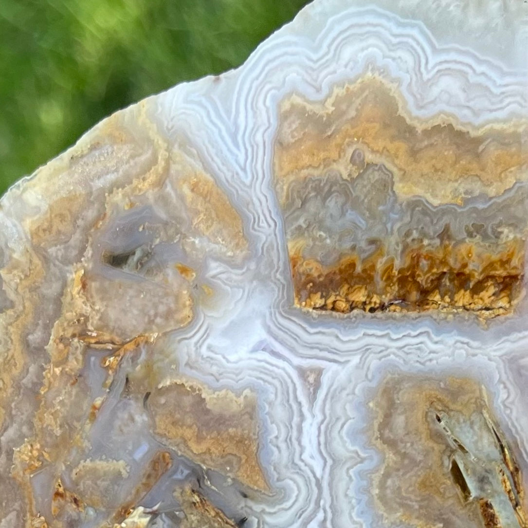 Idaho Prudent Man Agate Lapidary Rock Slab - Lucky Calico Gem & Jewelry Co.