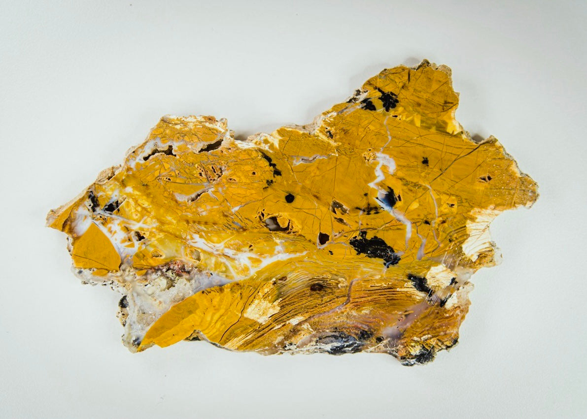 Nevada Royal Flamingo Agate Lapidary Rock Slab - Lucky Calico Gem & Jewelry Co.