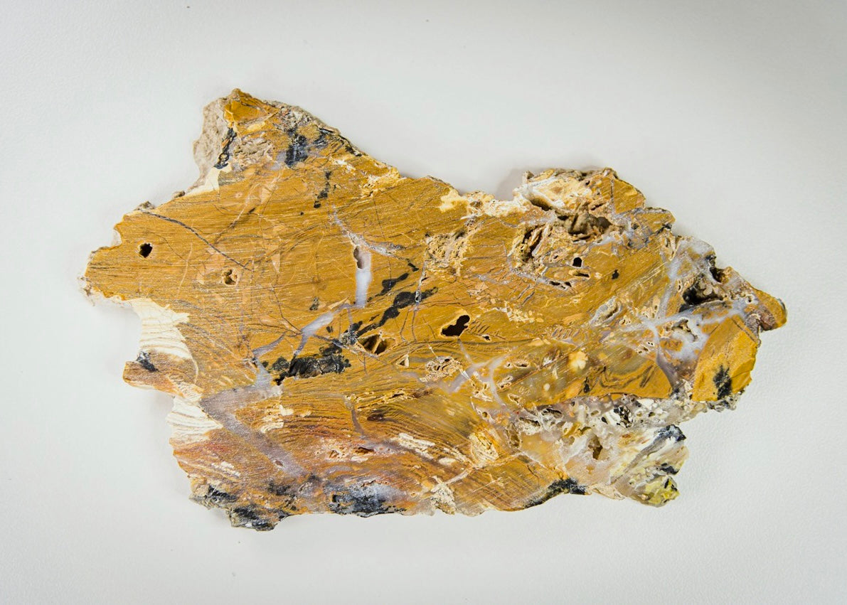 Nevada Royal Flamingo Agate Lapidary Rock Slab - Lucky Calico Gem & Jewelry Co.