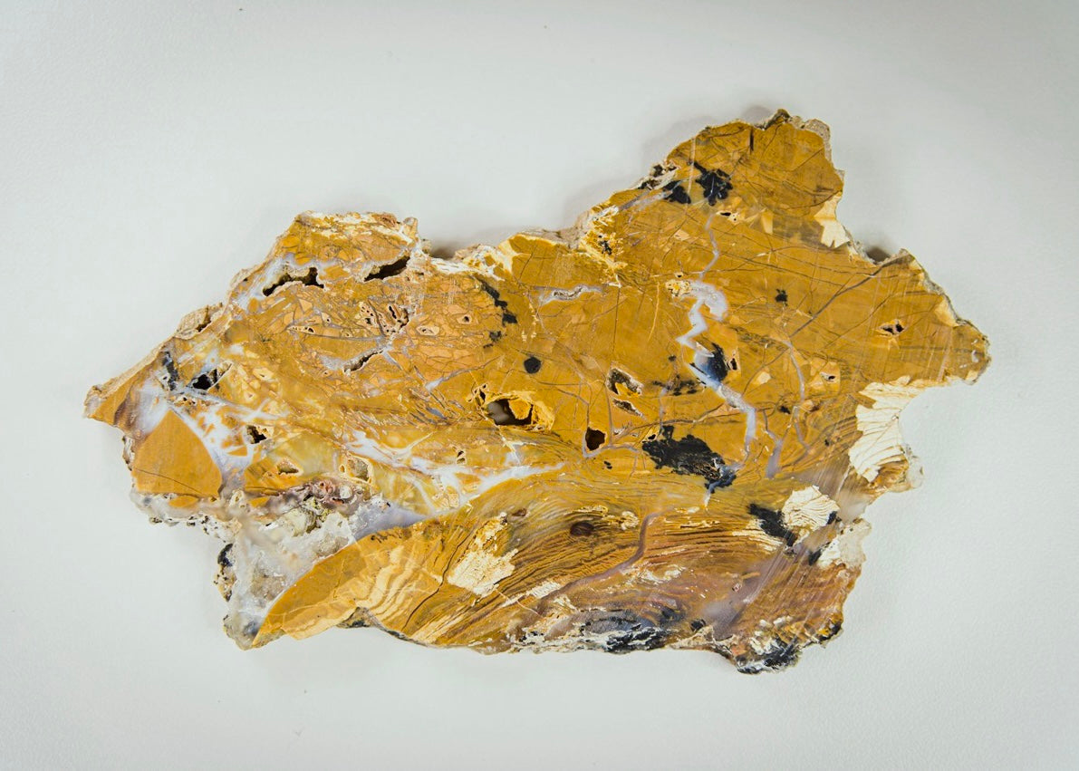 Nevada Royal Flamingo Agate Lapidary Rock Slab - Lucky Calico Gem & Jewelry Co.
