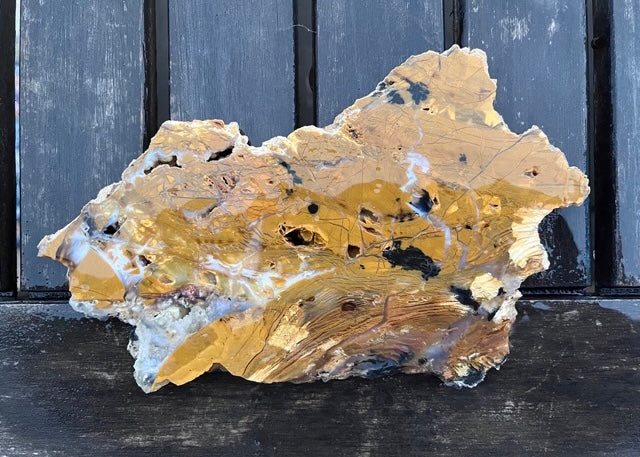 Nevada Royal Flamingo Agate Lapidary Rock Slab - Lucky Calico Gem & Jewelry Co.