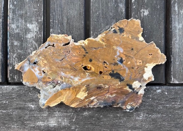 Nevada Royal Flamingo Agate Lapidary Rock Slab - Lucky Calico Gem & Jewelry Co.