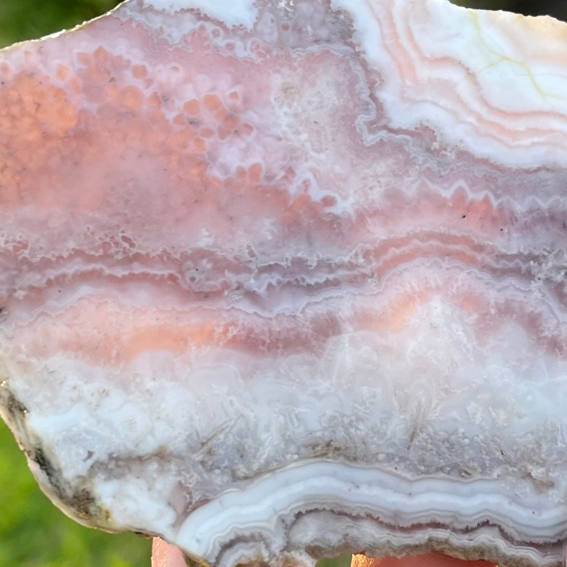 Colorado Sowbelly Agate Lapidary Rock Slab - Lucky Calico Gem & Jewelry Co.