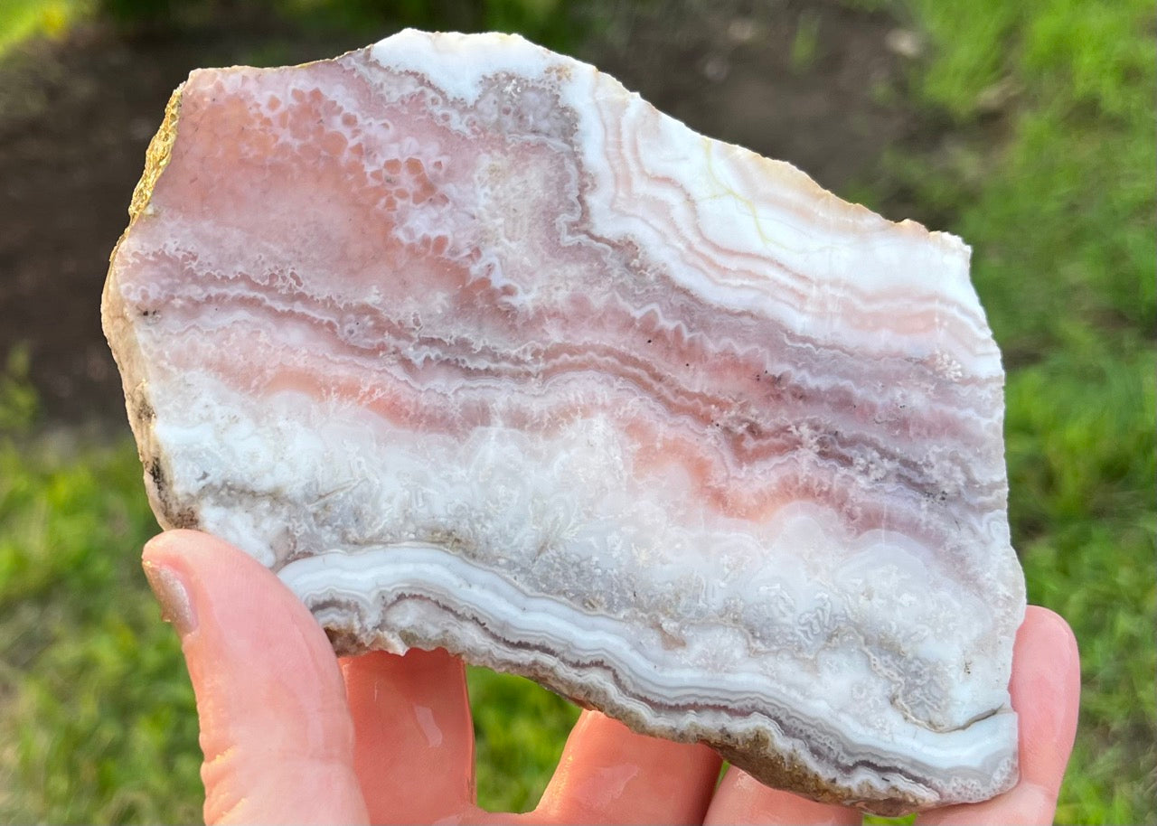 Colorado Sowbelly Agate Lapidary Rock Slab - Lucky Calico Gem & Jewelry Co.