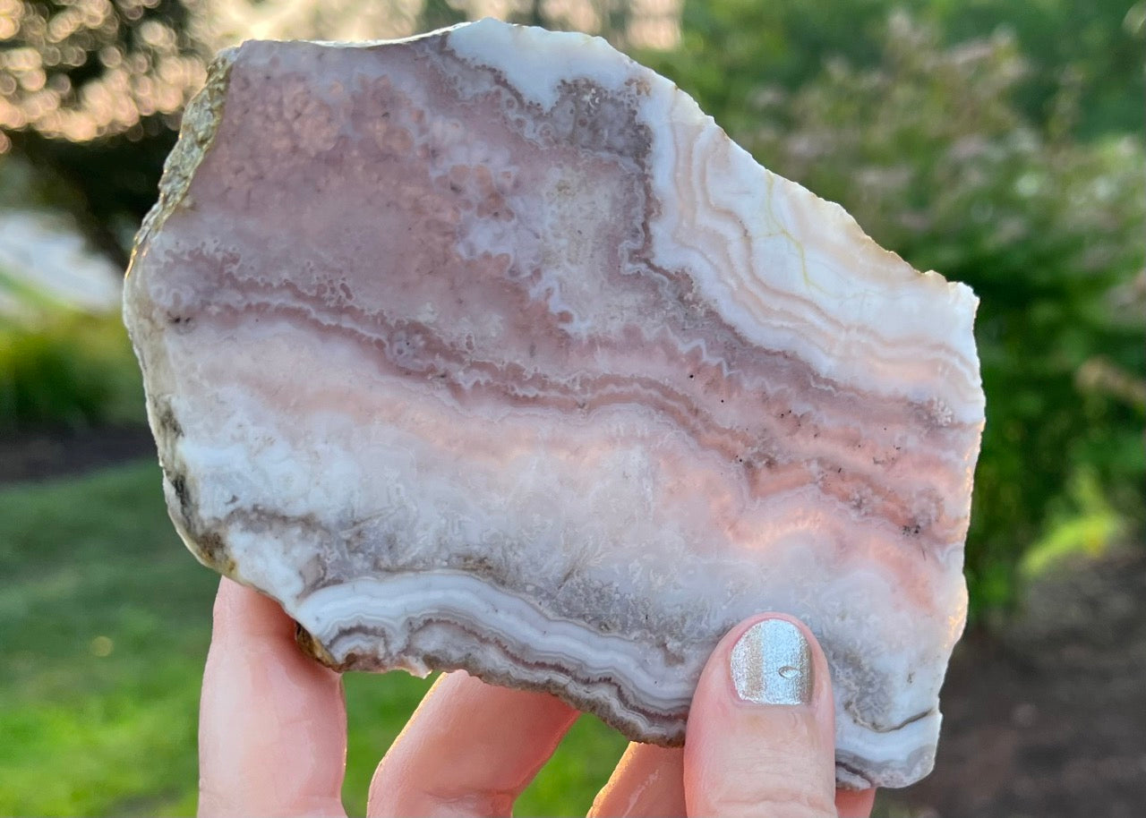 Colorado Sowbelly Agate Lapidary Rock Slab - Lucky Calico Gem & Jewelry Co.